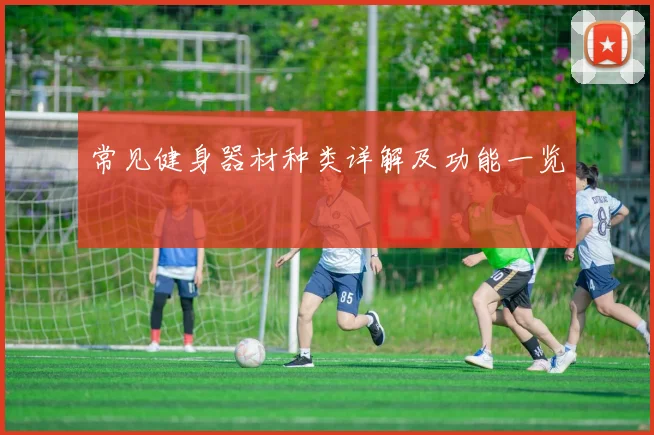常见健身器材种类详解及功能一览
