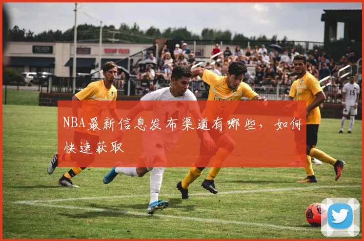 NBA最新信息发布渠道有哪些，如何快速获取