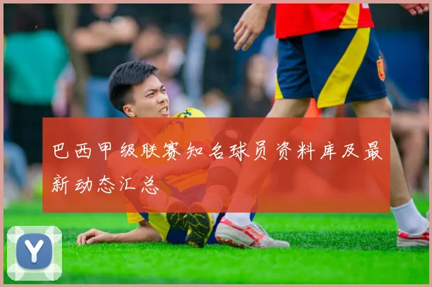 巴西甲级联赛知名球员资料库及最新动态汇总