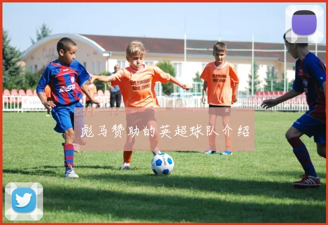 彪马赞助的英超球队介绍