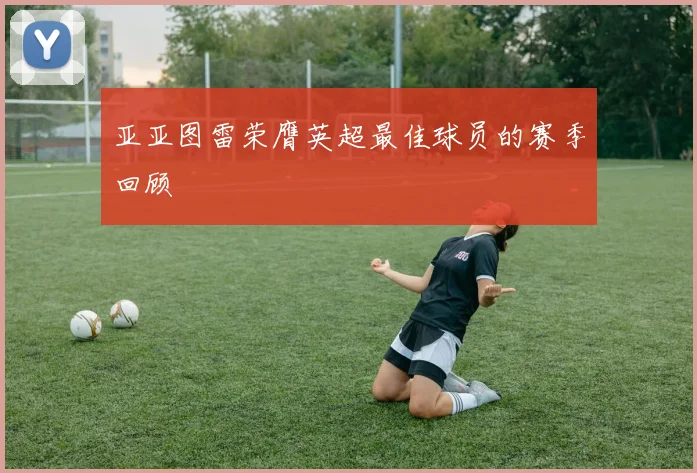 亚亚图雷荣膺英超最佳球员的赛季回顾